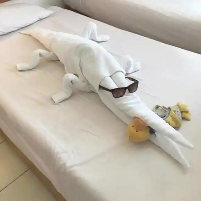 Gator On Vacation
