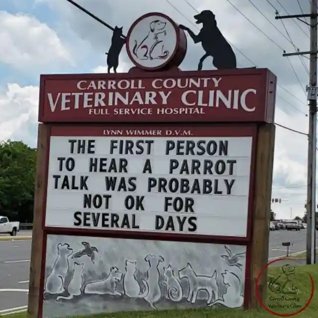 45 Signs To Make Your Pet's Vet Visit Enjoyable For Both Of You