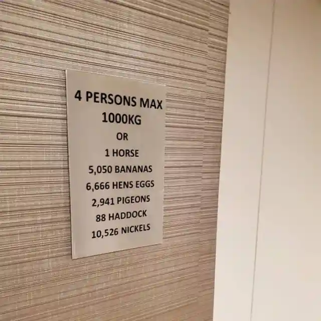 So That Everyone Understands