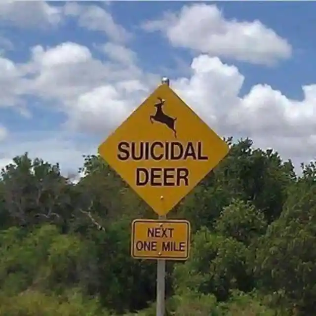 Hilarious Signs Found Only In Texas