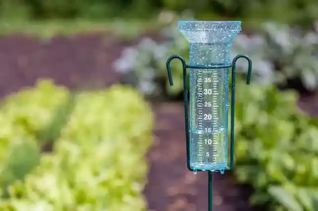 Utilize a Rain Gauge