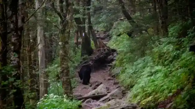 オフ・ヒー・ゴーズ