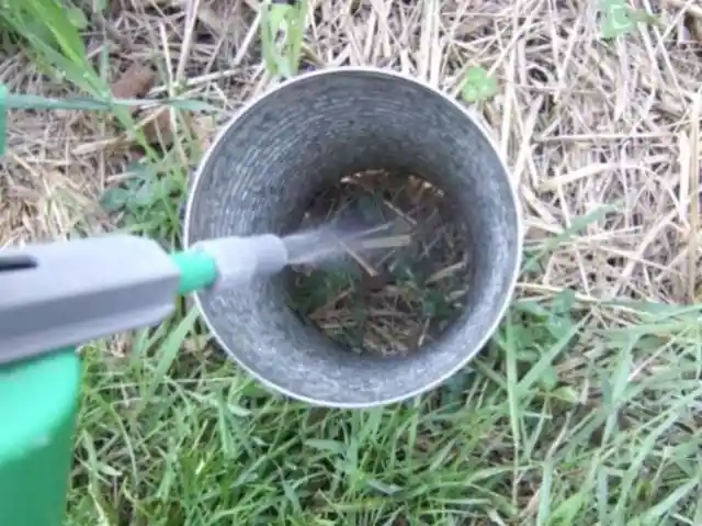 Aluminum Cans Are Great for Targeting Weeds