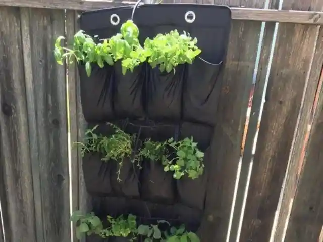 Grow Herbs with a Shoe Organizer