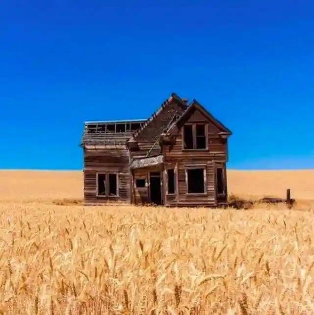 Abandoned Farmhouse Surrounded By Wheat Fields - Oregon, USA