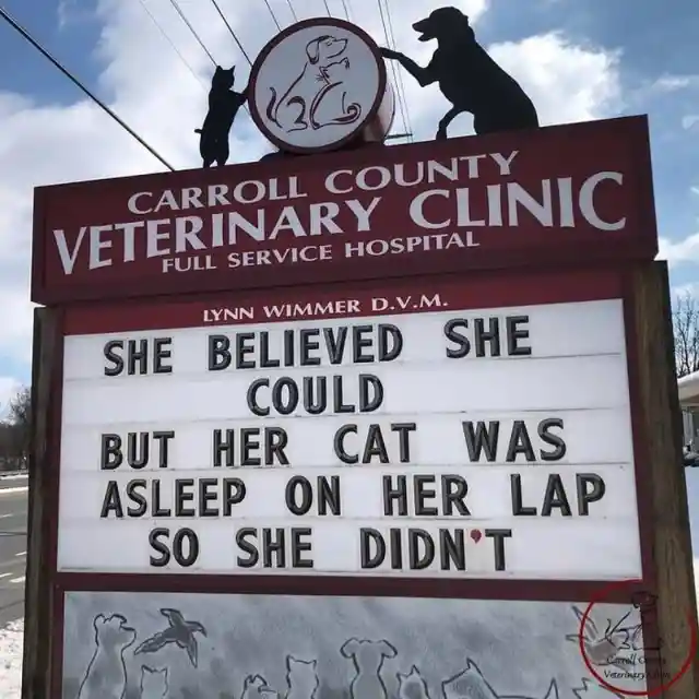 45 Signs To Make Your Pet's Vet Visit Enjoyable For Both Of You