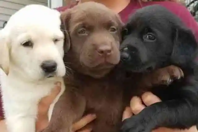 二人の父親、驚くべき発見