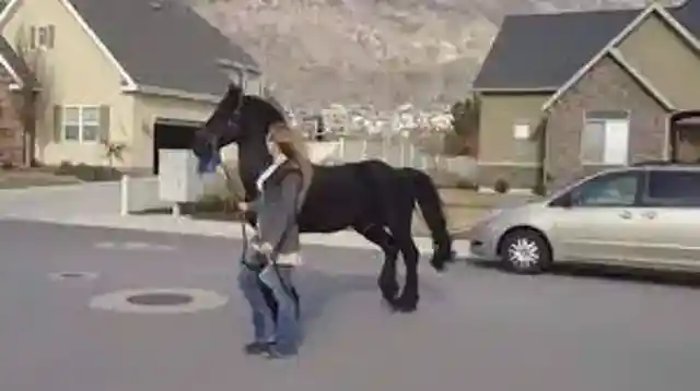 21. Growing a Community