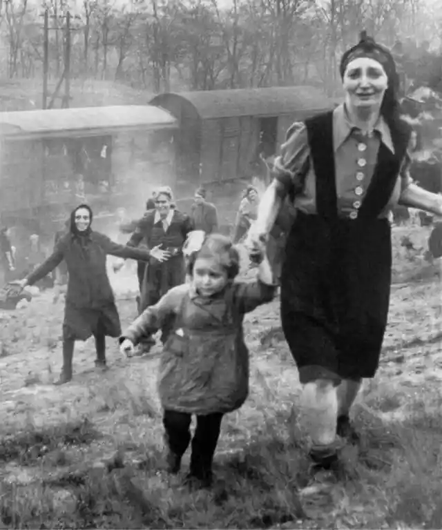 3. Liberation