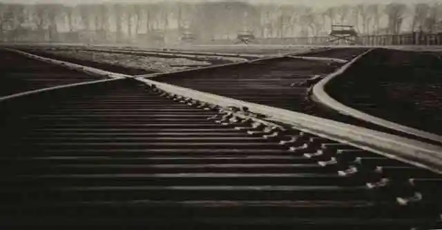 Mysterious Tracks: A Heart-Pounding Trail of Discovery