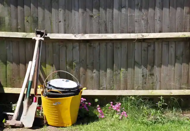 Man Discovers Something Incredible In His Back Yard