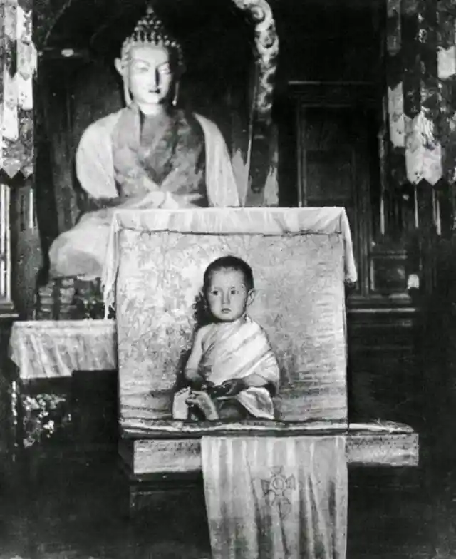 The Dalai Lama