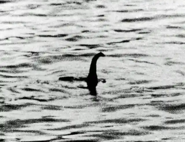 The Mystery Of Nessie