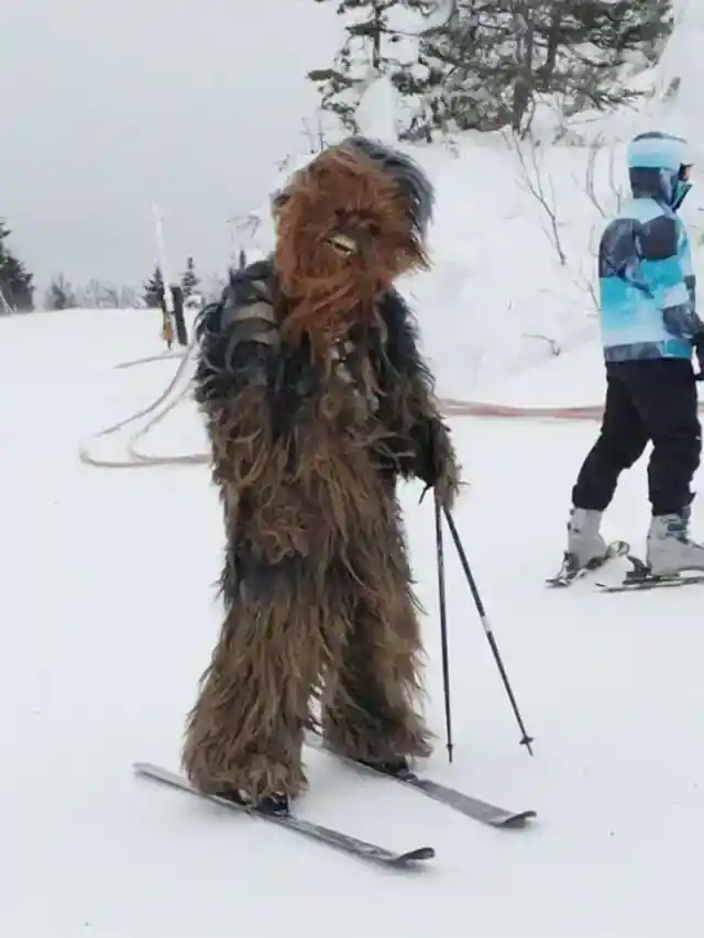 チューバッカ、ゲレンデに現る