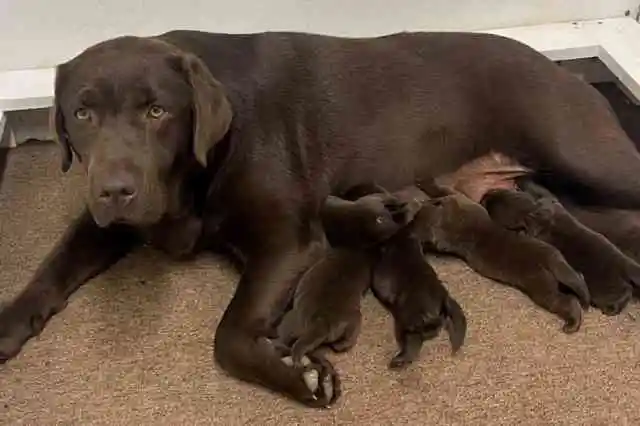 밝혀진 열두 개의 작은 단서들