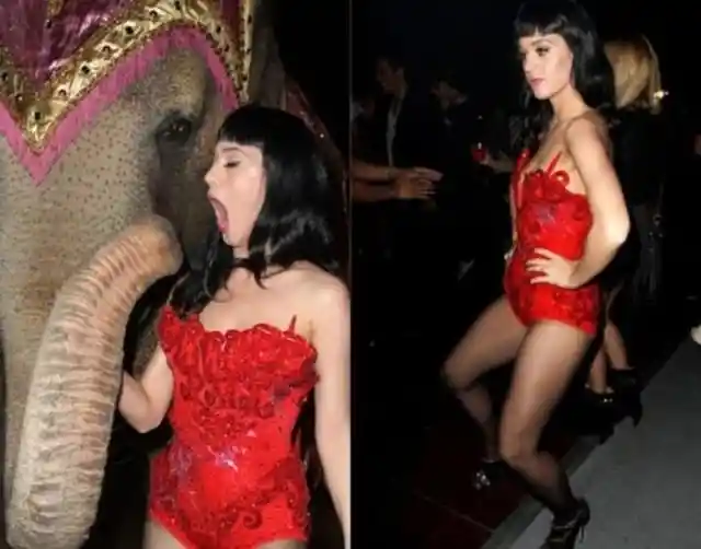 Katy Perry y el elefante