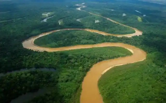 The Amazon Basin