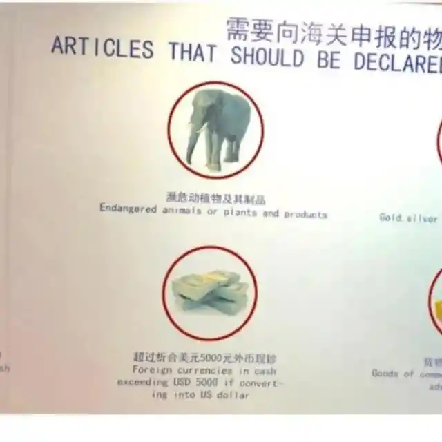 Elephants Must Be Declared at Customs