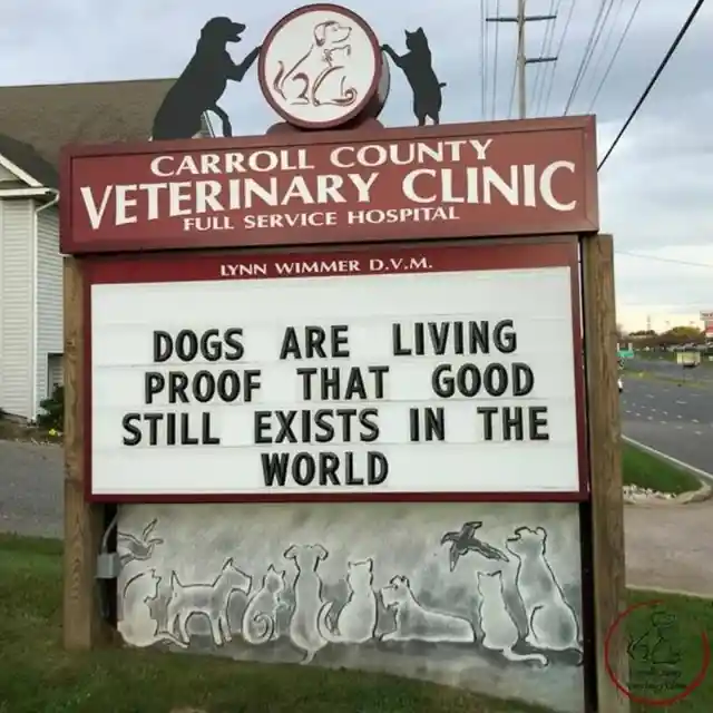 45 Signs To Make Your Pet's Vet Visit Enjoyable For Both Of You