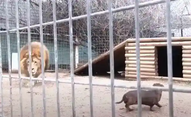 First Encounter