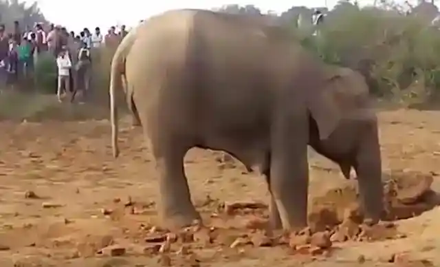 무엇을 위해 파는가?