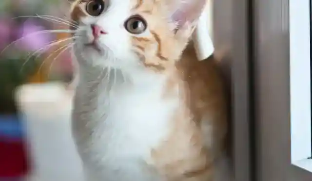 彼は彼女の心を奪った