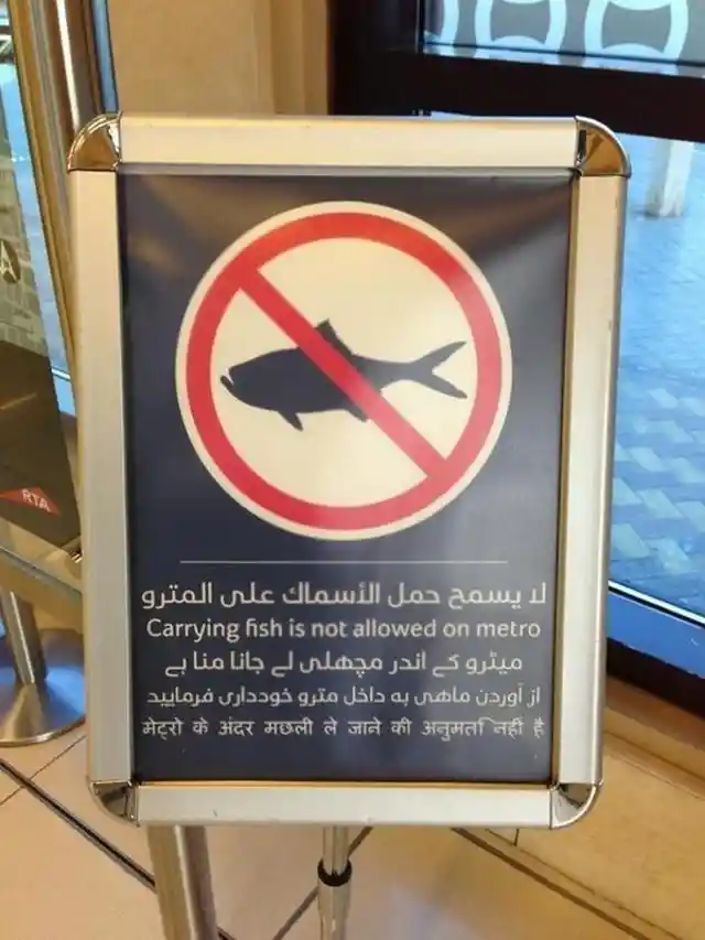 No Fish On The Train