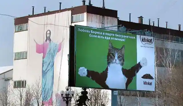 Jesus Katze