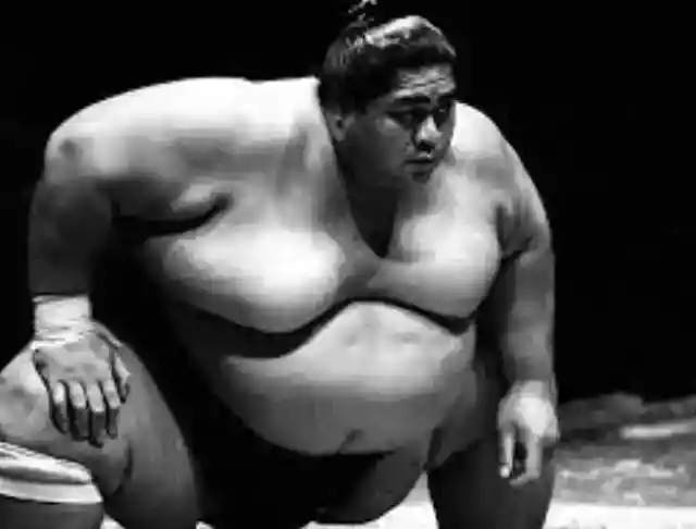 8. 고니시키 야소키치