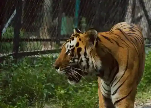 Slow Approach