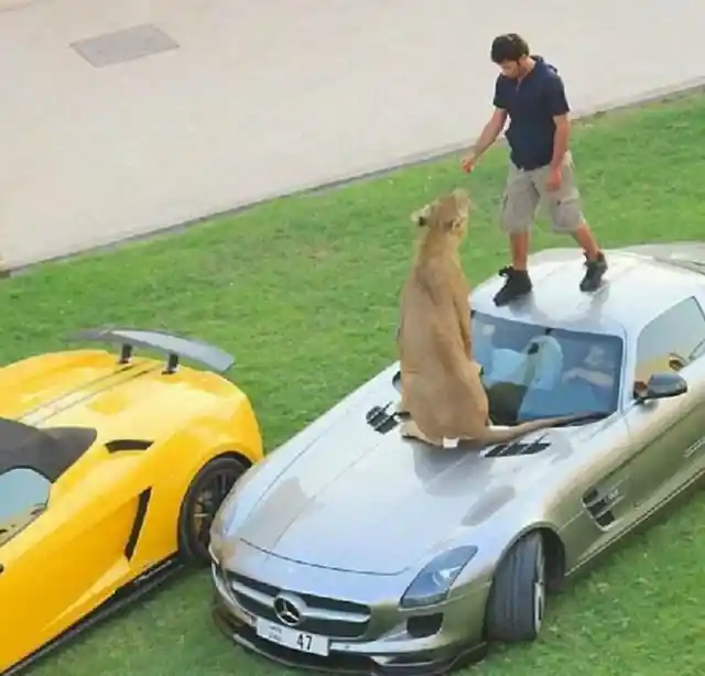 Moments You Can Only Find In Dubai