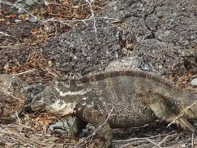 二つの世界の最良のもの