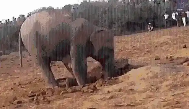 모든 것이 변하다