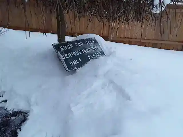 ウィンター・チル・セール