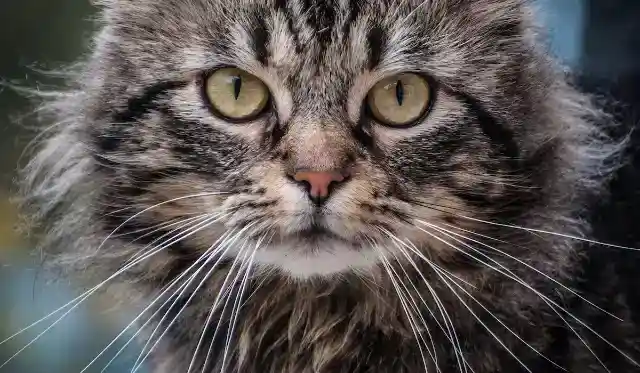 正しい選択をした