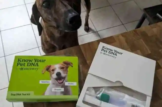 그는 그 이유를 알아내야 했습니다