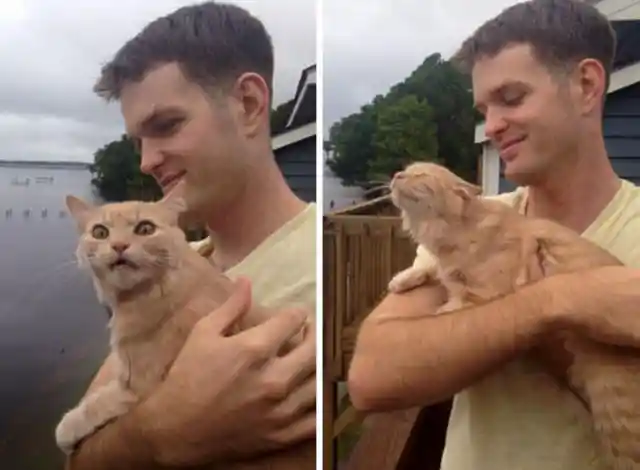 Indoor Cat Experiences the Outside World