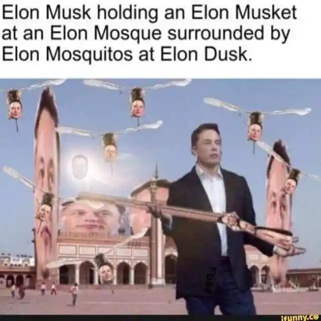 Fans Love Musk