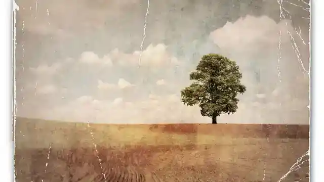 見覚えのある写真