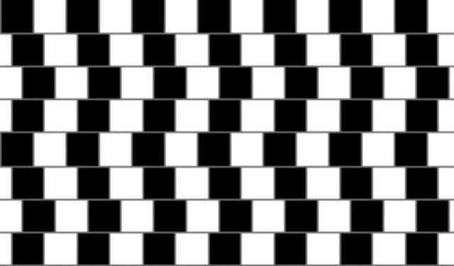 The Black and White Illusion