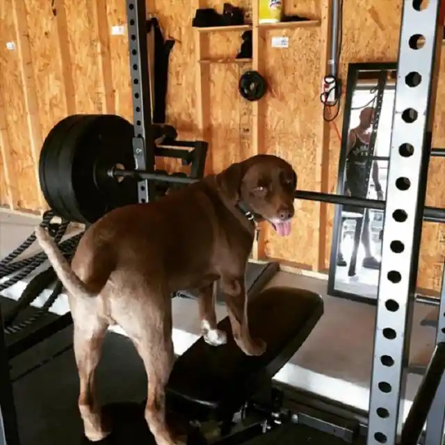 Hilarious Photos Taken At The Gym