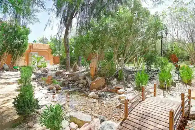 Tarzan Would Be at Home Here