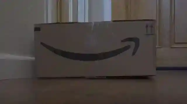 The Plan Was In Motion