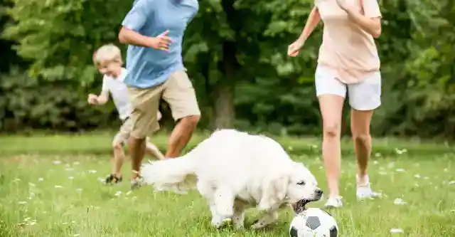 A Happy Ending for the Turners