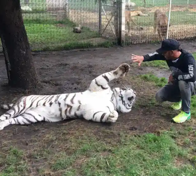 誰もがショックを受けた