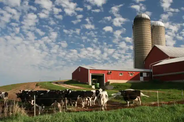 アメリカで最も乳製品を生産している州はどこでしょう？