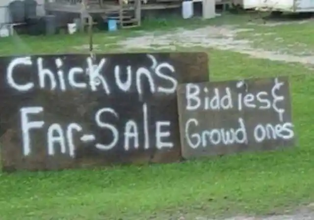 Cluck cluck, where are these delicious birds for sale?