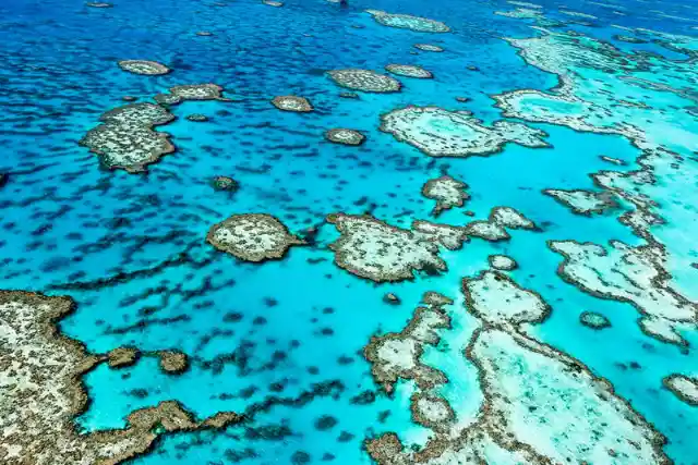 Where is the Great Barrier Reef?