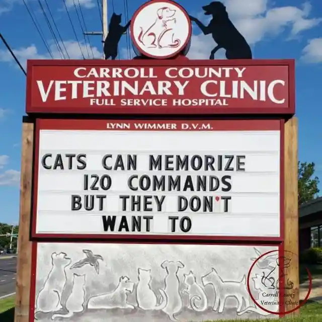 45 Signs To Make Your Pet's Vet Visit Enjoyable For Both Of You