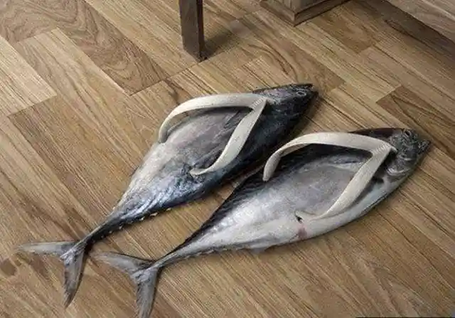 Your Feet Smell Like Fish ...Oh!